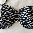 Kenneth Cole Reaction Umbrella Bikini Top Photo 2