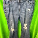 Lane Bryant  Jeans size 26 Photo 0