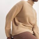 Everlane Cashmere Tan Turtleneck Sweater Photo 1