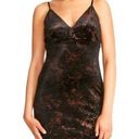 BB Dakota  Night Moves Velvet Dress Black Bronze Women's Size Small Photo 0