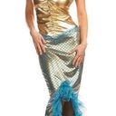 Spirit Mermaid Sexy Halloween Costume Photo 0