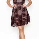 BB Dakota  Burgundy Aria Lace Short Sleeve Fit & Flare Party Dress W-723 Sz 4 Photo 1