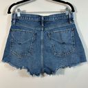 Hudson Jeans Hudson Jean Denim Cara Classic Shorts Raw Hem Button Fly 100% Cotton Size 29 Photo 1