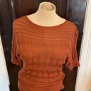 Dress Barn Size Small (Petite) milk chocolate brown  short sleeve knit blouse Photo 8