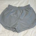 Nike dri-fit shorts with liner Photo 0