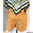 Dear John Suede Shorts Photo 11