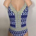 Bleu Rod Beattie New.  swimsuit. Size 4. Retails $149 Photo 0