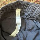 Lululemon Lulu Cargo Pants Photo 2