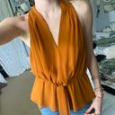 Naked Zebra Burnt Orange Tank Top Photo 0