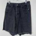 Wild Fable  High Rise Bermuda Shorts Black Frayed Denim Jean Button Fly Shorts Photo 0