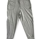 Nine West  Active Jogger Pants in Grey, Size XL New w/Tag Retail $68 Photo 0