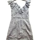 Saylor Lace Dress Photo 2