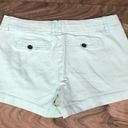 Harper  Light Green Chino Shorts Size 29/8 Pockets Rolled Cuff Photo 1