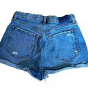 Abercrombie & Fitch  Curve Love The Mom Short High Rise Size 8 (29) Blue Denim Photo 1