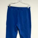 Banana Republic Factory Blue Cozy Comfy Sweatpants Photo 4