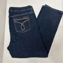 Calvin Klein Jeans Calvin Klein Womens Plus Sz 20 Dark Skinny Fit Straight Leg Denim Blue Jeans Photo 0