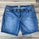 Lane Bryant  Plus Size 26 Jean Shorts Photo 0