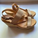 Kork-Ease Korks  Leather Wedge Strappy Sandal 10.5 Comfort Jessie Off-white Shoes Photo 6