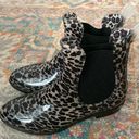 Seven7 Leopard Rain Boots Photo 3