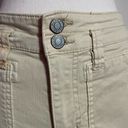 Pilcro  Beige Cargo Pants with Paisley Patches Photo 2