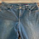 Style & Co  Denim Blue Boyfriend Jeans Size 12 EUC #3267 Photo 1