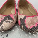 Juicy Couture  leather snake skin print ballet flats shoes Photo 4