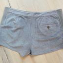 BCBG Max Azria Shorts Faux Suede Going out Style Grey Medium Style Phillia Med Photo 3