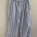 Tommy Hilfiger  Dana Fit Blue and White Crop Striped Pants 10 Photo 0