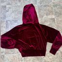 EXPRESS  velvet banded bottom hoody NWT Photo 0