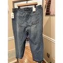 Wonderly  WOMEN'S High Rise Vintage Straight Jeans Size 20w NWT Photo 3