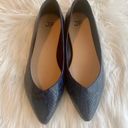 Just fab Sapphire Blue Snakeskin Flats Photo 1