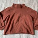 Madewell MWL Betterterry Relaxed Turtleneck Sweatshirt Warm Umber  Photo 0