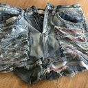 YMI Jeans Shorts Photo 0