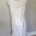 White House | Black Market WHBM Sleeveless White Floral Lace Flounce-Hem Shift Dress Photo 3