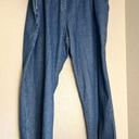 Woman Within New  Classic Fit Size 36 T Blue Jeans Item Photo 0