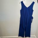 Eliane Rose  Sleeveless Jumpsuit Royal Blue Photo 5