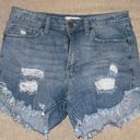 Just Black Denim JBD Medium Wash Shorts Photo 0