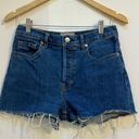 Everlane  The Cheeky Denim Short Size 28 Photo 2