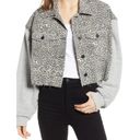 ALL SAINTS Leopard Print Anders Cropped Mixed Media Jacket Small Photo 1