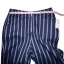 The Row STONE VOLCOM FUTURE ME STRIPE PANTS BLUE STRIPED HIGH WAISTED CROPPED ANKLE Photo 4