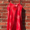 Show Me Your Mumu Vibrant Red  Risque Mesh & Embroidered Lace Slip Dress Photo 5