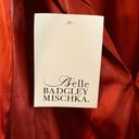 Badgley Mischka Belle  Dress Wine Red Gigi Mock Neck Long Sleeve Trapeze Sz 2 NWT Photo 6