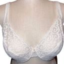 Cacique Plus Size  Lace Wired Bra Size 44DD Photo 0