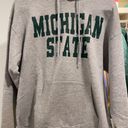 Michigan State Sweatshirt Gray Size M Photo 0