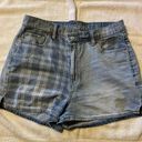 American Eagle Outfitters Shorts Photo 0