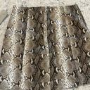 Magnolia South NWT Snake Print Leather Skirt  Photo 2