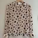 Ecru  Polka Dot Blouse Shirt Top Size XS Bloggers Fave Photo 0