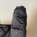 The North Face Quilted 550 Fill Goose Down Puffer Jacket Photo 8