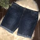 Lane Bryant  frayed hem Bermuda shorts sz 28 Photo 0