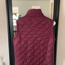 easel  Plum Vest Photo 1